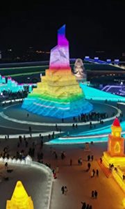 2902631.jpg
