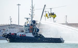 4314809.jpg