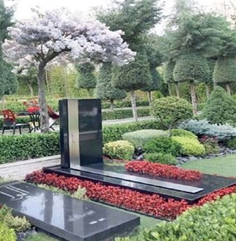 5503007.jpg