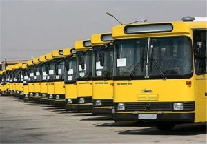 9179542.jpg