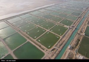 1403091309415467931583724