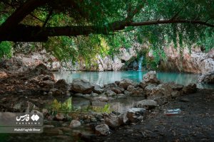 5a5afb65c1514330ab04492598c3da0e