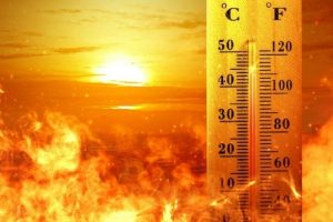 گرما-هواشناسی-1024x683
