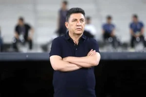 امیرقلعهنویی