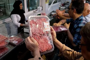 قیمت+گوشت