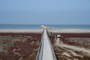 photo_2025-11-30_09-21-13