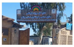 photo_2025-11-30_12-49-01