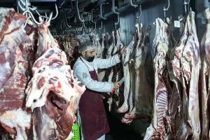 قیمتگوشتقرمز