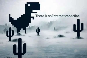 65446