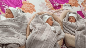 سه-قلو-585x329