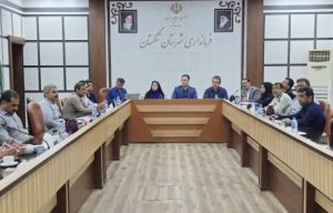فرماندار تنگستان