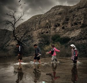 دره لاک پشت ها